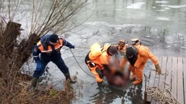 В Липецке утонул мужчина, провалившийся под лед на реке Воронеж