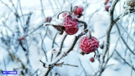 В Томске ожидается до -9°С и снег 10 января