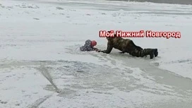 Нижегородец спас трехлетнюю девочку, провалившуюся под лед на Оке