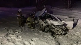 Двое погибли при столкновении легковушки и грузовика на трассе в Татарстане