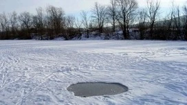 В Рязанской области супруги спасли ребенка, провалившегося под лед