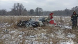 МЧС: два человека погибли при крушении самолета в Нижегородской области