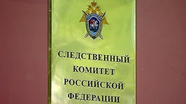 ТАСС: бывший глава "Спецтехники" начал сдавать своих подельников