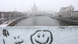 В Москве ожидается мокрый снег с дождем и гололедица