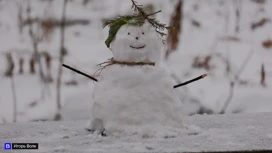 Не надевайте зеленую одежду в день Могущницы 20 февраля, чтобы не навлечь беду