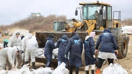 Волонтеров ждут в штабе в Анапе