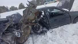 Ребенок без детского кресла погиб в ДТП в Удмуртии, пострадали еще пять человек