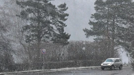 Fransız ücretli yol operatörü Vinci, Rusya'dan ayrıldı.