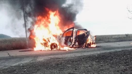 В Белгородской области дронами ВСУ атакованы две машины, ранен боец самообороны