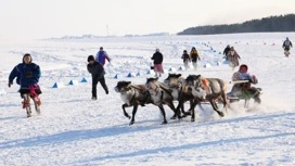 В городах Ямала готовятся широко отметить День оленевода 2025