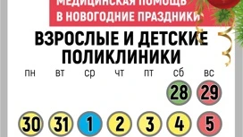 В новогодние праздники медучреждения Ивановской области работают по особому графику