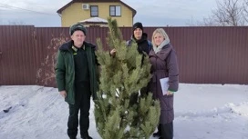 Лесничества Липецкой области доставили новогодние елки семьям участников СВО