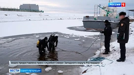 В Ленинградской области тренировались водолазы со всего Северо-Запада