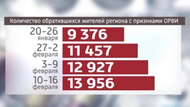 В Красноярском крае продолжается рост заболеваемости ОРВИ и гриппом