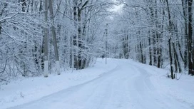 Днем 20 декабря в Удмуртии ожидается -7…-12°С