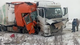 Два человека пострадали в столкновении грузовиков в Можгинском районе Удмуртии