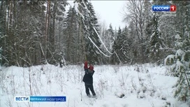 В Новгородской области из-за  налипания мокрого снега без электроснабжения остаются 87  населённых пунктов