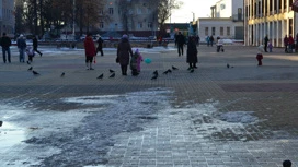 Потепление до +2 и снегопад в Липецкой области ждут в понедельник