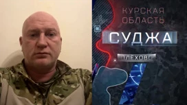 Военкор Кукушкин узнал, что ВСУ в Плехове прикрывались местными жителями