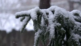 На Кубани продлили штормовое предупреждение