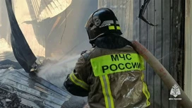 МЧС: пожар в магазине под Симферополем удалось локализовать