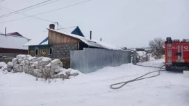 В Новосибирской области три человека погибли при пожаре