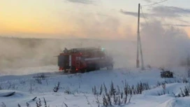 При пожаре в приюте в ЯНАО сгорели 18 кошек и собак