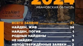 За ноябрь волонтеры “ЛизаАлерт” нашли 24 человека, пропавших в Ивановской области