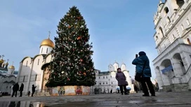 Главную новогоднюю ель России спилят в Московской области