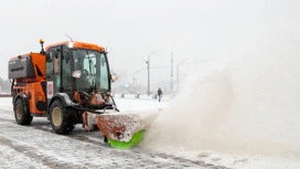 Синоптик Леус советует москвичам готовить снегоуборщики