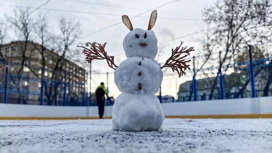 На выходных в Центральной России общий прирост снега составит 10-15 сантиметров