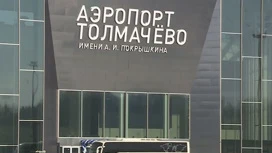 В аэропорту Новосибирска опоздавшие на рейс пассажиры выбили дверь терминала