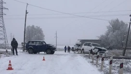 В ДТП с Лэнд Крузером в Липецкой области пострадали водитель и пассажирка Нивы