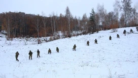 Удерживавшая дот группа десантников ВСУ сдалась в плен в Харьковской области