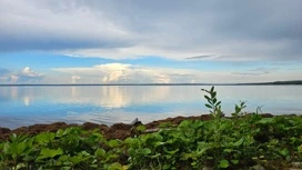 Чем "болеют" водоемы в Челябинской области, рассказали эксперты