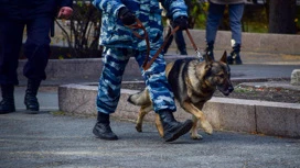 В Челябинской области нашли труп, завернутый в одеяло