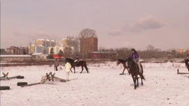 В Иркутске провели открытые городские соревнования по конкуру