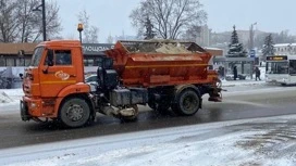 Дороги в Липецке начали обрабатывать реагентами от гололеда