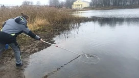 Вода пахнет канализацией: взяты пробы в реке Соньга Ярославского района