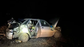 При съезде легковушки в кювет под Астраханью двое погибли и трое пострадали