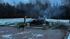 В Сестрорецке завели уголовное дело после поджога "Шалаша Ленина"