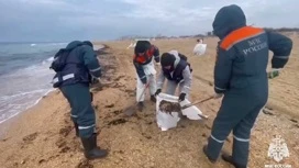 Repeated oil spills have been recorded at 11 sections of beaches in Kuban.