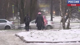 Сильный снег и порывистый ветер накрыли Псковскую область