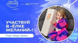 Всероссийская акция "Елка желаний" стартовала в Ивановской области