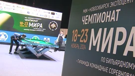 В Новосибирске дали старт Чемпионата мира по бильярду