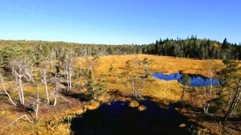 В Нижнем Новгороде открывается выставка, посвященная исследованию Васюганских болот