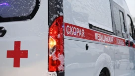 In Udmurtia, a teenager died in a collision between a snowmobile and a train.