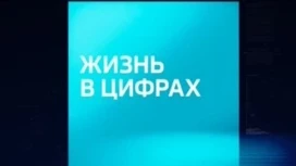 "Жизнь в цифрах": как менялись ценники в магазинах