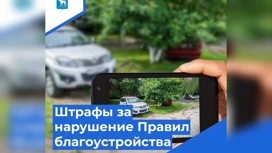 Йошкаролинец заплатит 3000 рублей за установку парковочного барьера в общественном месте