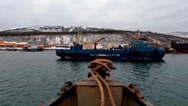 Водолазы помогают поднимать затонувшие суда в бухте Нагаева